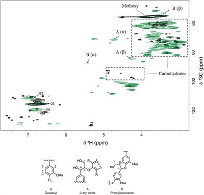 Comparison of solid and liquid fractions of pretreated Norway spruce as reductants in LPMO-supported saccharification of cellulose